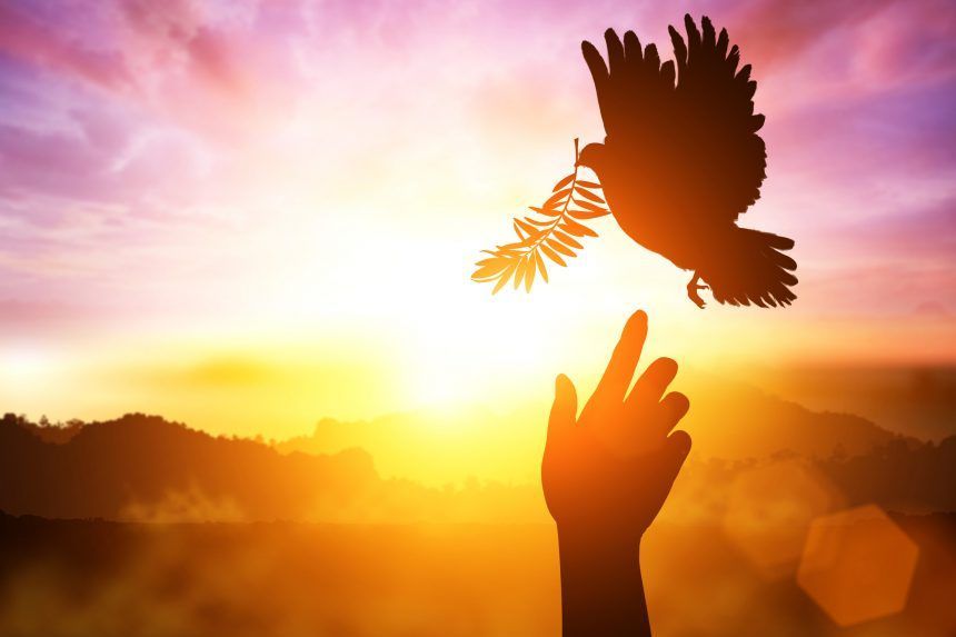¡CURSILLO Nº 86 PARA GLORIA DE DIOS!